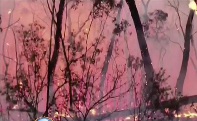 ไฟป่าออสเตรเลียจ่อเข้า “ซิดนีย์”