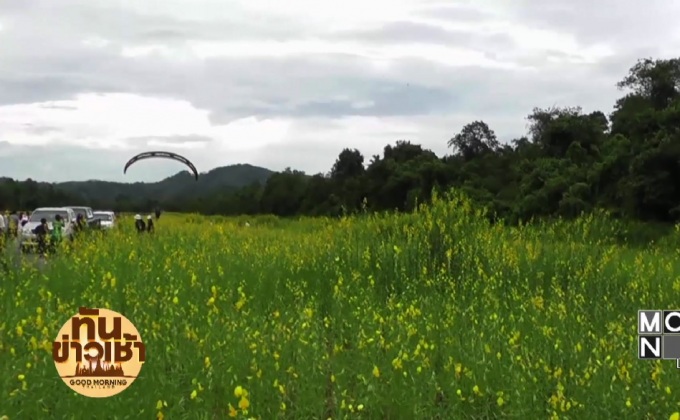 อ.เบตง จ.ยะลา รวมพลังจัดกิจกรรม “ทำดีเพื่อพ่อ ที่ทุ่งปอเทือง”