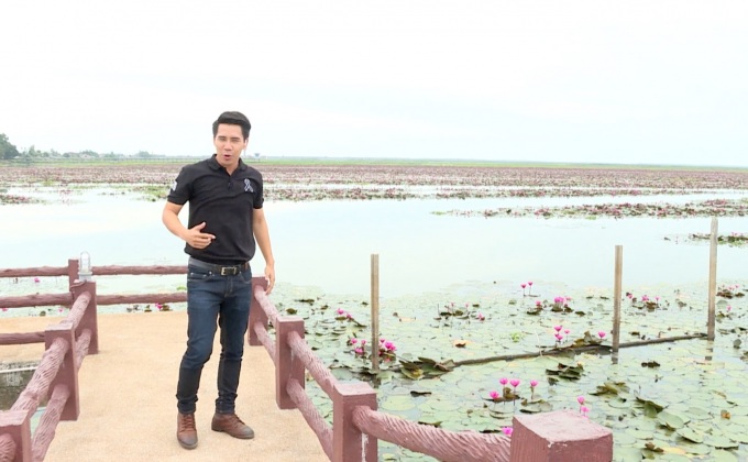 เจษฎาพาลุย : บัวแดงงามอร่าม ที่ทะเลน้อย จ.พัทลุง