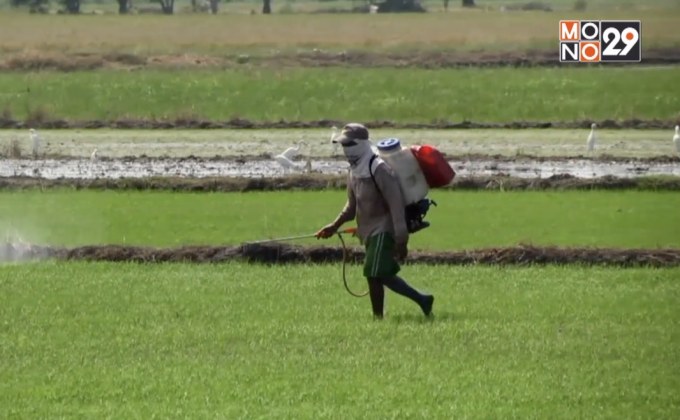 องค์กรต่อต้านคอร์รัปชั่นฯ หนุนยกเลิกสารเคมี 3 ชนิด