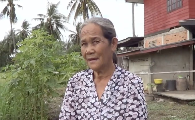 ชาวบ้านแห่เก็บ “ใบอังกาบหนู” เชื่อรักษามะเร็งได้