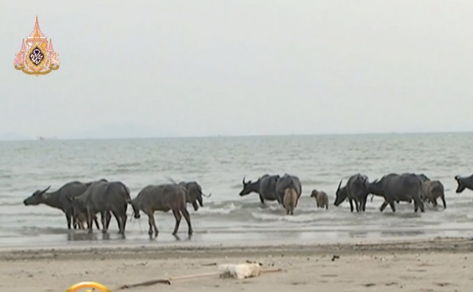 นทท.แห่เล่นสไลเดอร์หิน อ.วังทอง จ.พิษณุโลก