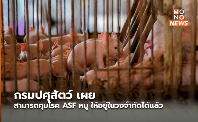 กรมปศุสัตว์ เผย สามารถคุมโรค ASF หมู ให้อยู่ในวงจำกัดได้แล้ว