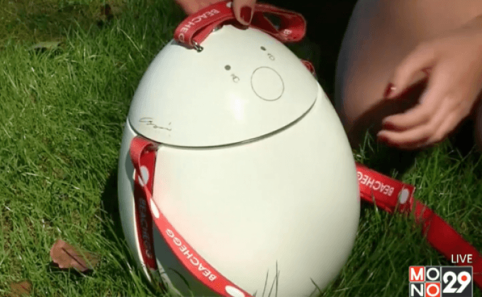 อุปกรณ์เก็บของป้องกันขโมย