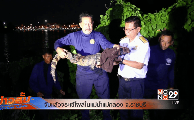 จับแล้วจระเข้โผล่ในแม่น้ำแม่กลอง จ.ราชบุรี