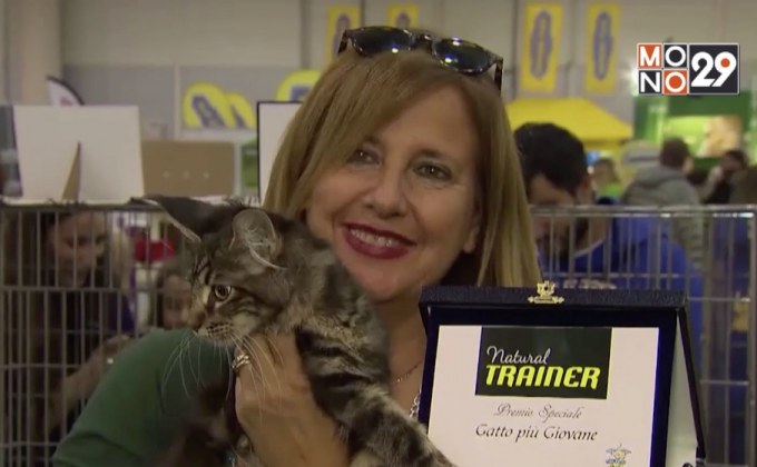 การประกวดสุดยอดแมวในอิตาลี
