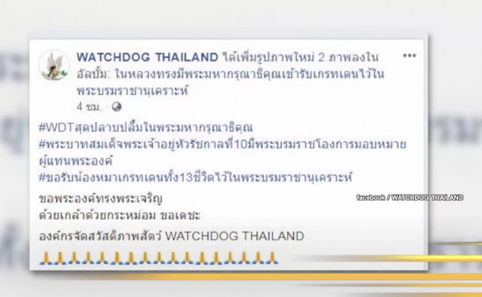 ในหลวง ทรงรับอุปการะสุนัข “เกรทเดน” 13 ตัว