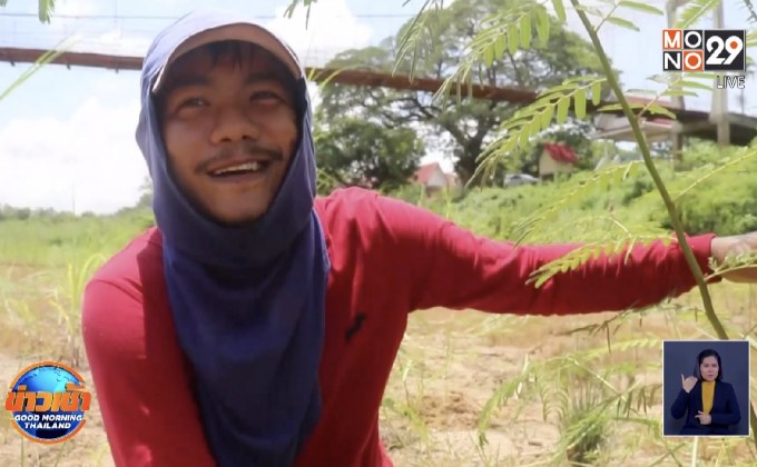 ชาวบ้านพิจิตรพลิกวิกฤตแล้งหาของมีค่าในแม่น้ำยม