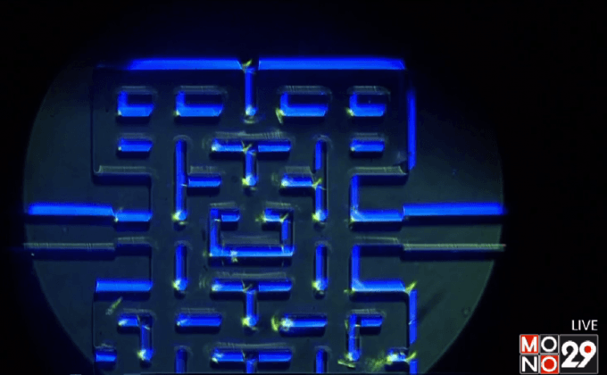 ศึกษาพฤติกรรมจุลินทรีย์ตามเกมแพคแมน