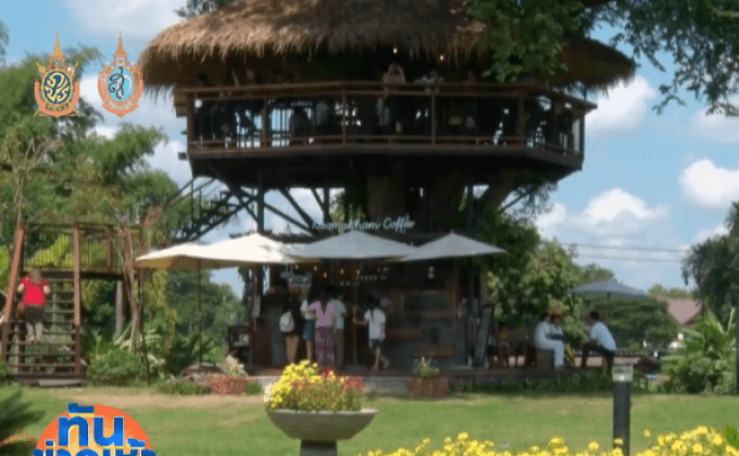 คึกคัก! จุดเช็คอินใหม่ “ร้านกาแฟบนต้นมะขาม”