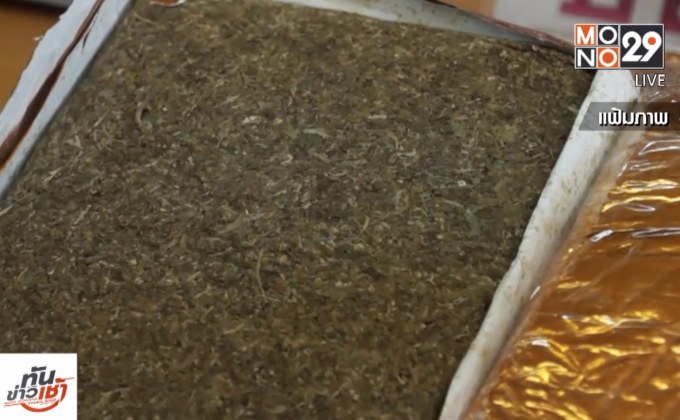 สนช.เร่งล่ารายชื่อ ชงร่างกฎหมาย “กัญชาเพื่อการแพทย์”