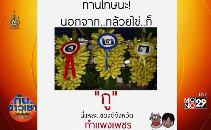 ชาวเน็ตโดนใจประโยคสุดฮิต “ทานโทษนะ !”