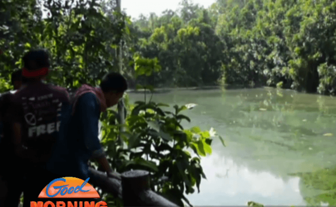 เตรียมปิดสระมรกตบางส่วน ค้นหานกแต้วแร้วท้องดำ