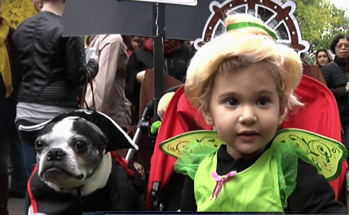 งานพาเหรดฮัลโลวีนสุนัขในสหรัฐฯ