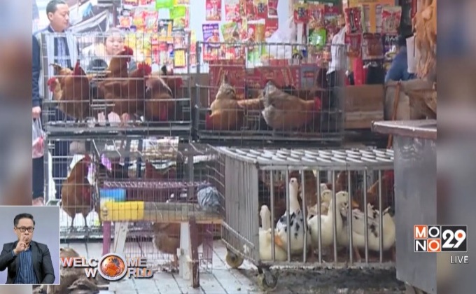 พบผู้ติดเชื้อหวัดนก H7N9 เพิ่มในจีน