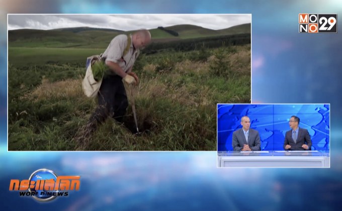 สกอตแลนด์ปลูกต้นไม้ลดโลกร้อน