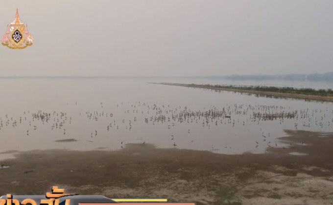 นกนับหมื่นตัวรวมฝูงหากินแหล่งน้ำจืดกว๊านพะเยา