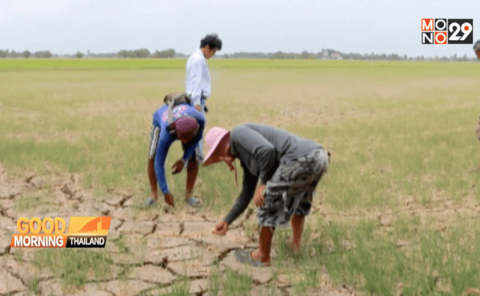 ฝนตกภาคเหนือ-ชาวนาภาคกลางยังระทม