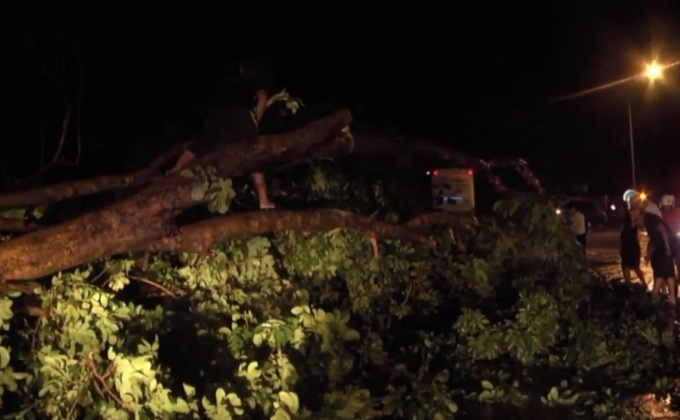 พายุพัดต้นไม้กว่า 10 ต้น หักโค่นขวางถนนเมืองโคราช