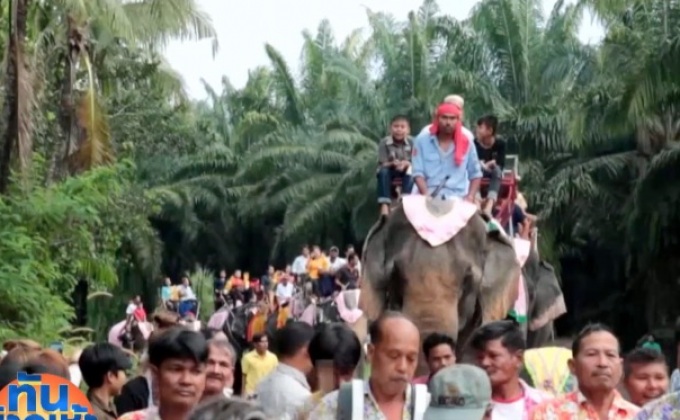 ครูบำนาญ ใช้ช้าง 11 เชือก แห่นาคงานบวชลูกชาย