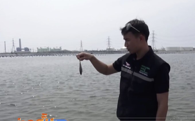 ปลาตายเกลื่อนทะเลมาบตาพุด