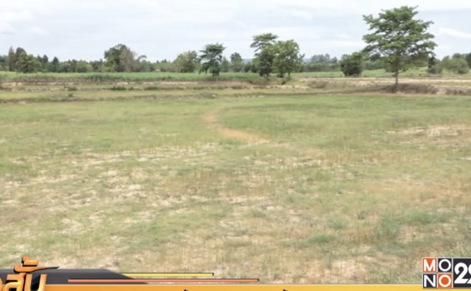 คาดภัยแล้งกระทบชาวนาแล้ว 40-50%