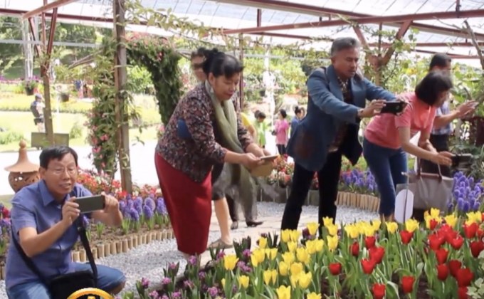 ชมทิวลิปในงานเทศกาลดอกไม้บานที่เบตง