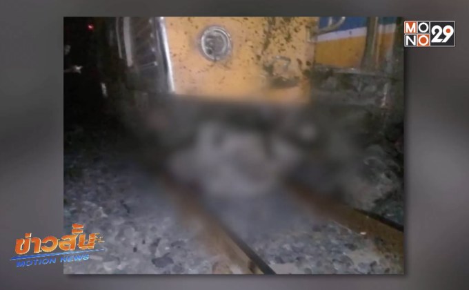 รถไฟชนควายตาย 21 ตัว จ.นครสวรรค์