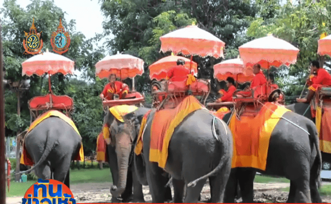 ระทึก! ช้างใช้งวงทำร้ายแม่ค้า เหวี่ยงขึ้นบนอากาศ