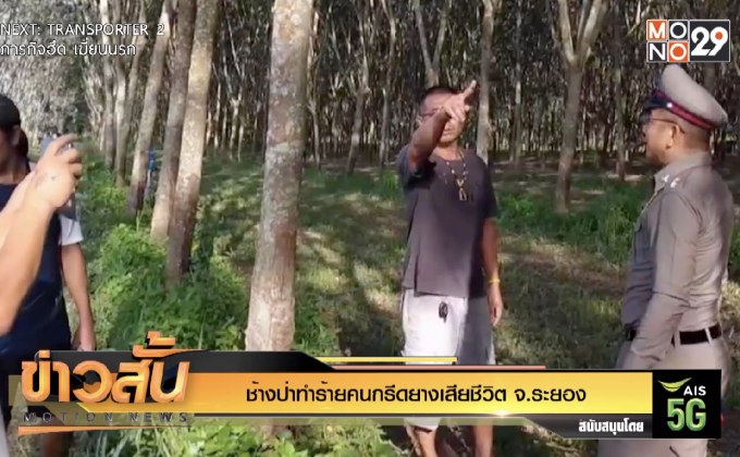 ช้างป่าทำร้ายคนกรีดยางเสียชีวิต จ.ระยอง