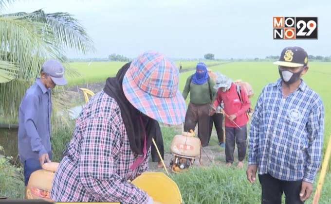 เกษตรกรยันนัดแต่งดำ-ชุมนุมทบทวนมติยกเลิก 3 สาร อังคารนี้