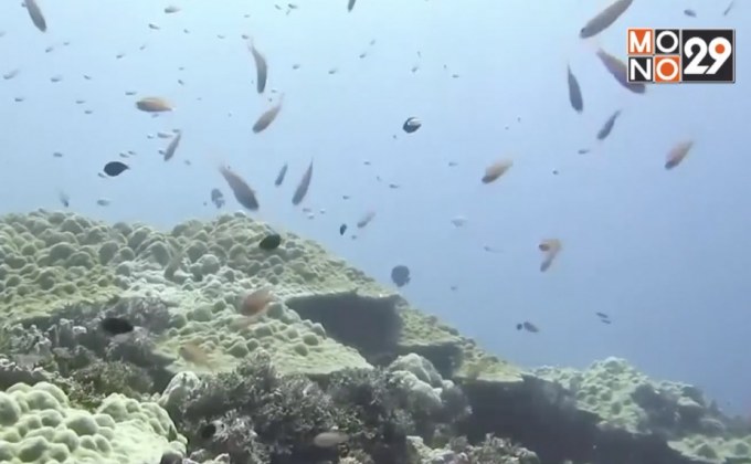 ผู้นำเซเชลส์เดินหน้าแผนปกป้องพื้นที่ใต้ทะเล