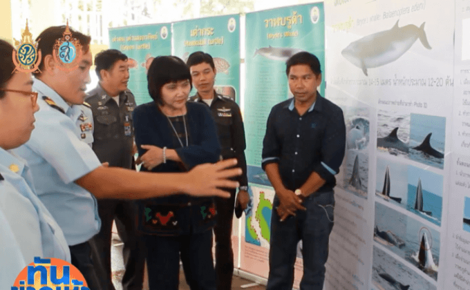 เพชรบุรีเตรียมจัดงานเทศกาลชมวาฬ ทานปู ครั้งที่ 3