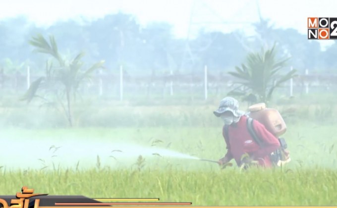 รมช.สธ.ย้ำแบน 3 สารเคมี เพราะต้องดูแลสุขภาพคนไทย