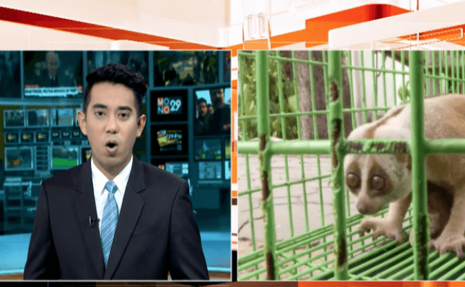 ทีมปราบปรามค้าสัตว์ป่าผ่านสังคมออนไลน์