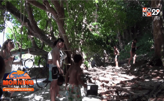 กระบี่-เตือนนักท่องเที่ยวระวังเชื้อไวรัสจากลิงและยุง 