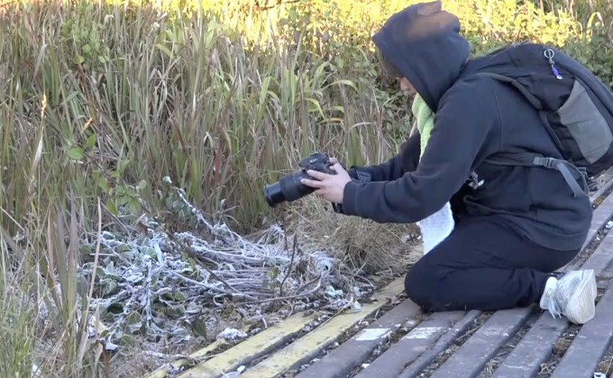 ยอดดอยอินทนนท์หนาวสุดในรอบปี