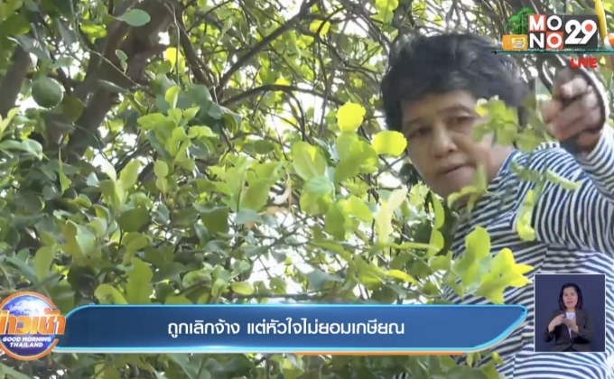 ถูกเลิกจ้าง แต่หัวใจไม่ยอมเกษียณ