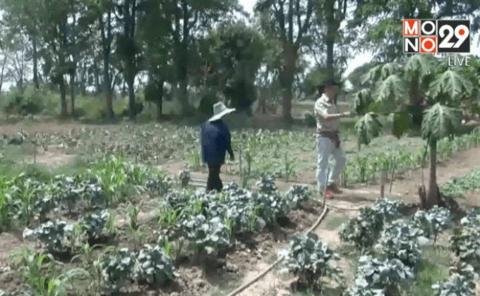 ภัยแล้งกระทบหลายพื้นที่