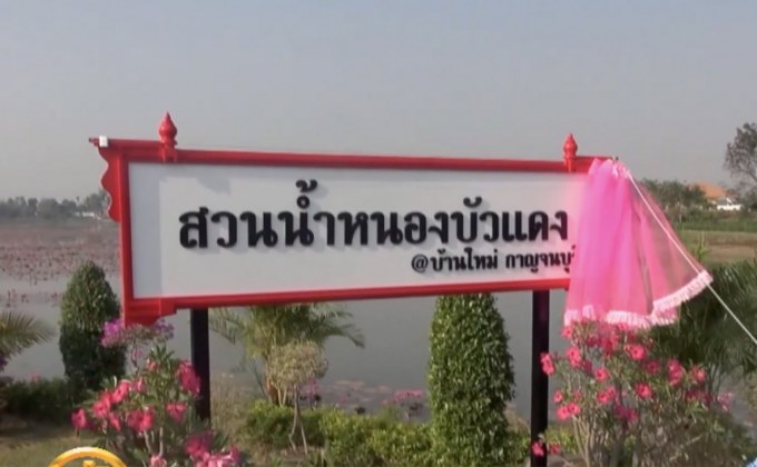 ​เปิดทุ่งบัวแดงสวนน้ำหนองสำรอง จ.กาญจนบุรี