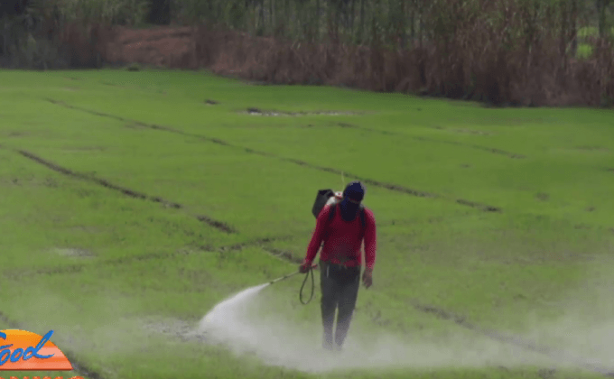 ภัยแล้งกระทบพื้นที่เกษตรกรรม