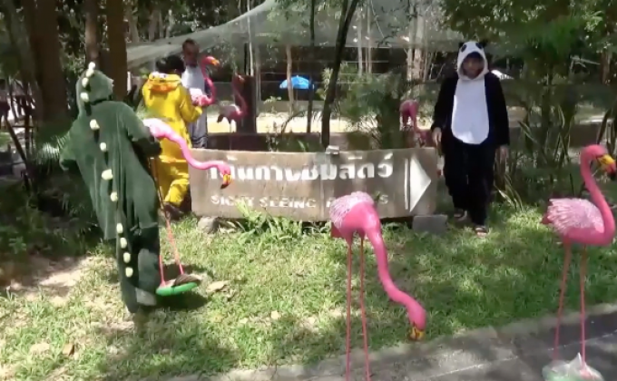 สวนสัตว์อุบลฯ เตรียมรับสัตว์จากสวนสัตว์ดุสิต