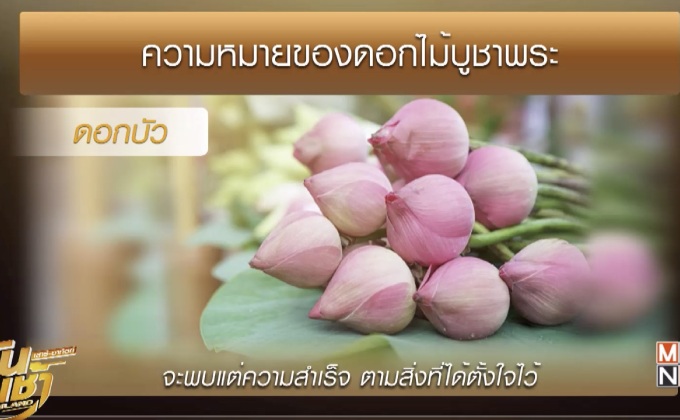 ความหมายของดอกไม้บูชาพระ