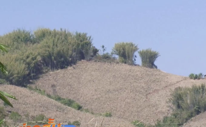 กรมป่าไม้ตั้งเป้าฟื้นฟูป่าต้นน้ำเพิ่มอีก 20,986 ไร่ปีนี้