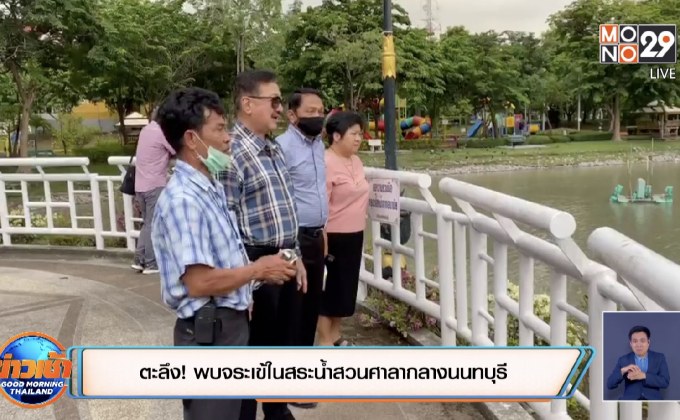 ตะลึง! พบจระเข้ในสระน้ำสวนศาลากลางนนทบุรี