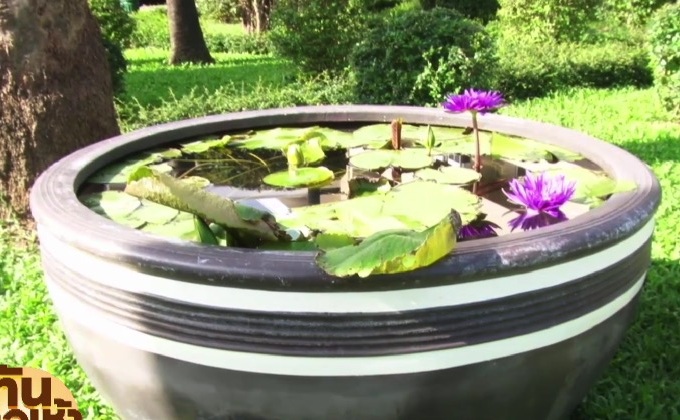 นายกฯ ตอบชัด อ่างบัวทำเนียบฯ เพื่อปรับภูมิทัศน์