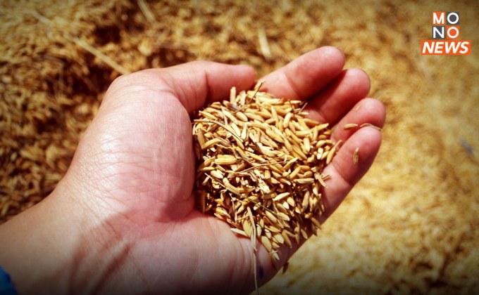 ชาวนาเฮ! รัฐจ่ายเงินช่วยเหลือ หวังเป็นทุนทำนาปีหน้า