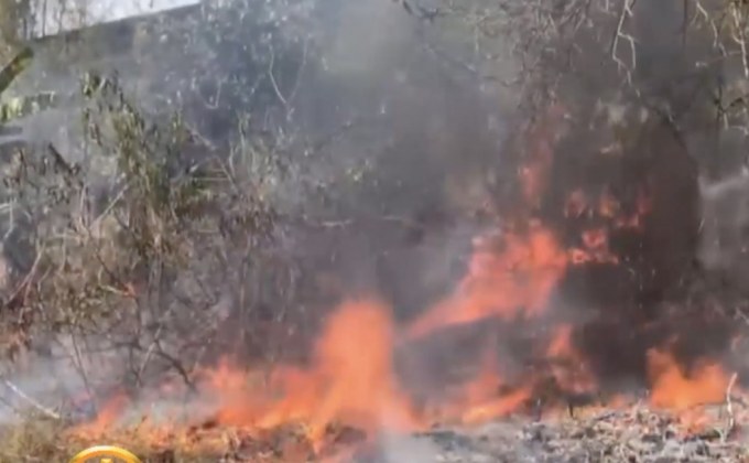 สรุปข่าว 28/02/2019