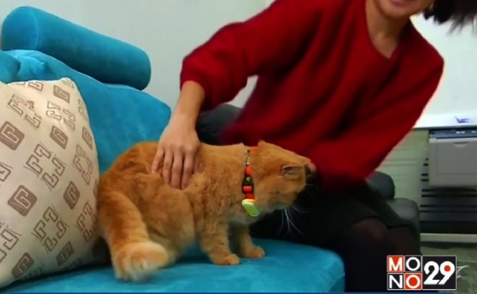 อุปกรณ์ติดตามผลสุขภาพสัตว์เลี้ยง