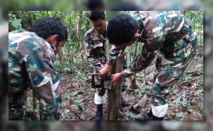 ติดกล้องในอุทยานแห่งชาติแก่งกระจาน